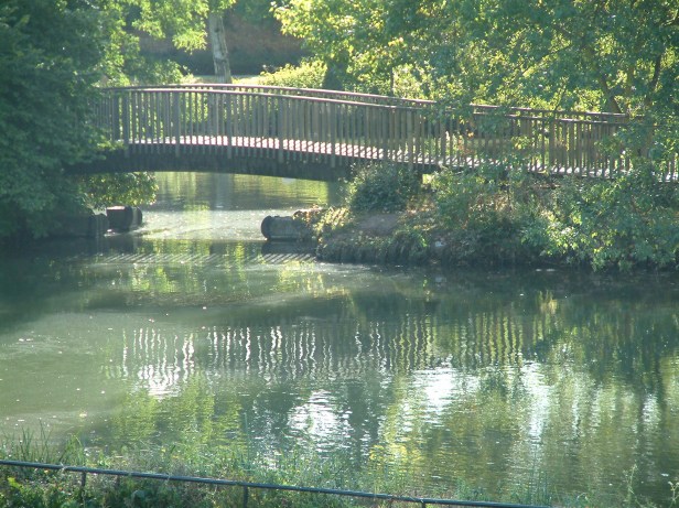Bridge in Jephson Gardens